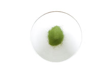 Load image into Gallery viewer, Matcha Culinary (ALMA)