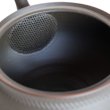 Load image into Gallery viewer, Black Hokuryu Tokoname-yaki Kyusu Teapot