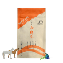 Load image into Gallery viewer, Japanese Black Tea: Setoya Momiji (3g Tea Bags)  紅茶・瀨戶谷もみじ