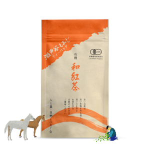 Japanese Black Tea: Setoya Momiji (3g Tea Bags)  紅茶・瀨戶谷もみじ